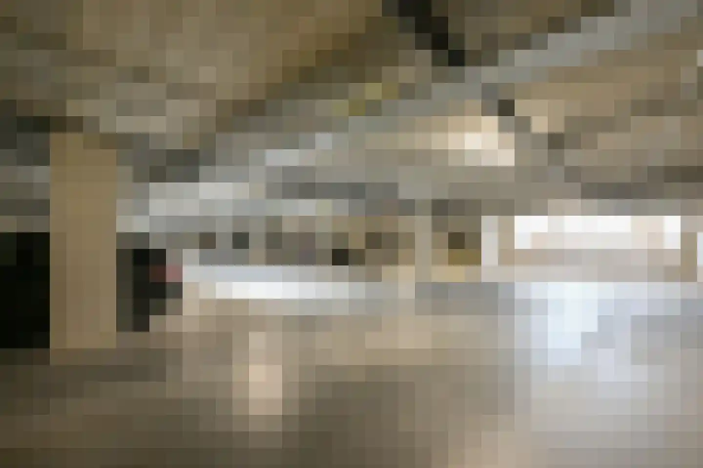 Willem Dreesstraat 23 Alphen aan den Rijn thumbnail 41