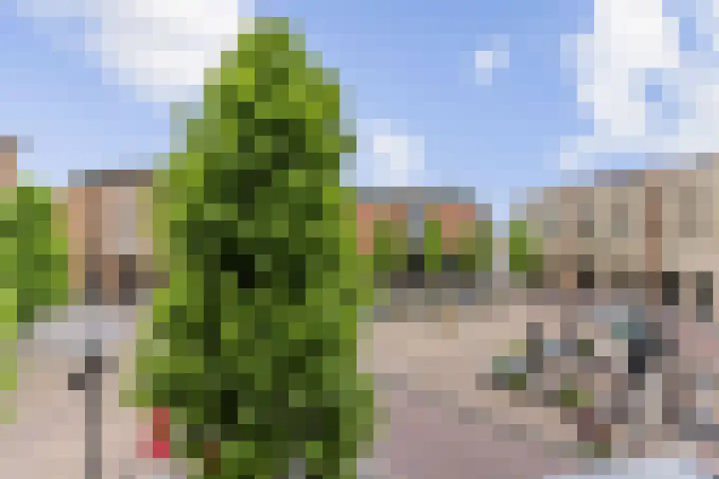 Willem Dreesstraat 36 Ridderkerk thumbnail 26
