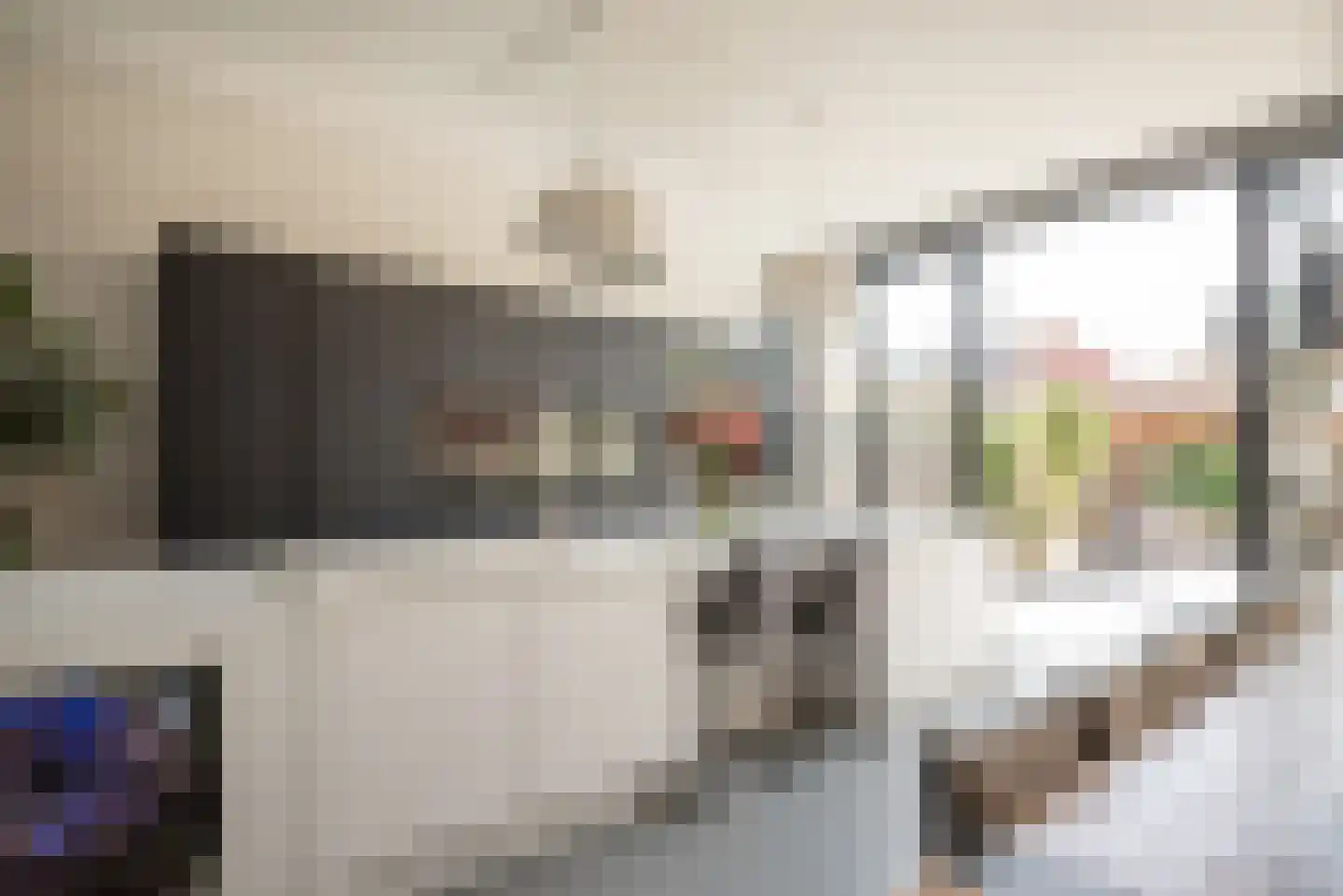 Willem Dreesstraat 6 Alphen aan den Rijn thumbnail 13