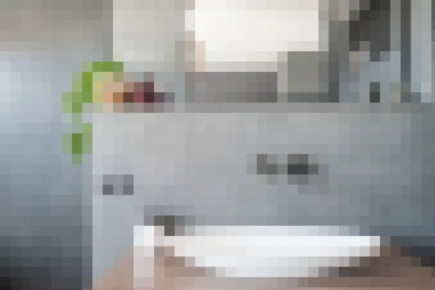 Willem Dreesstraat 6 Alphen aan den Rijn thumbnail 62