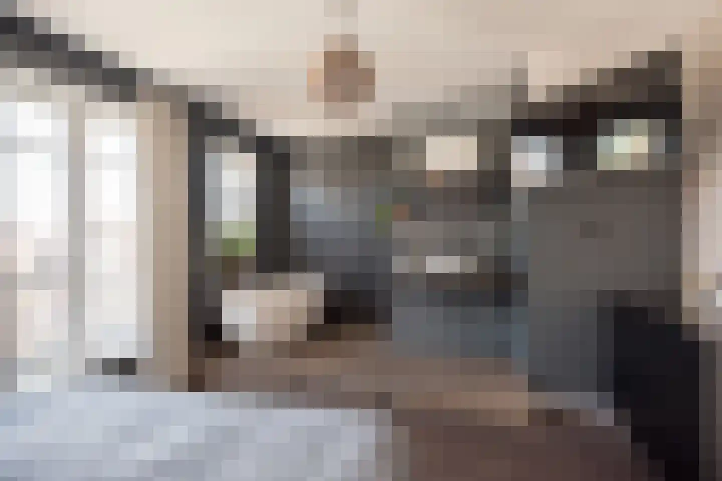 Willem Dreesstraat 6 Alphen aan den Rijn thumbnail 63