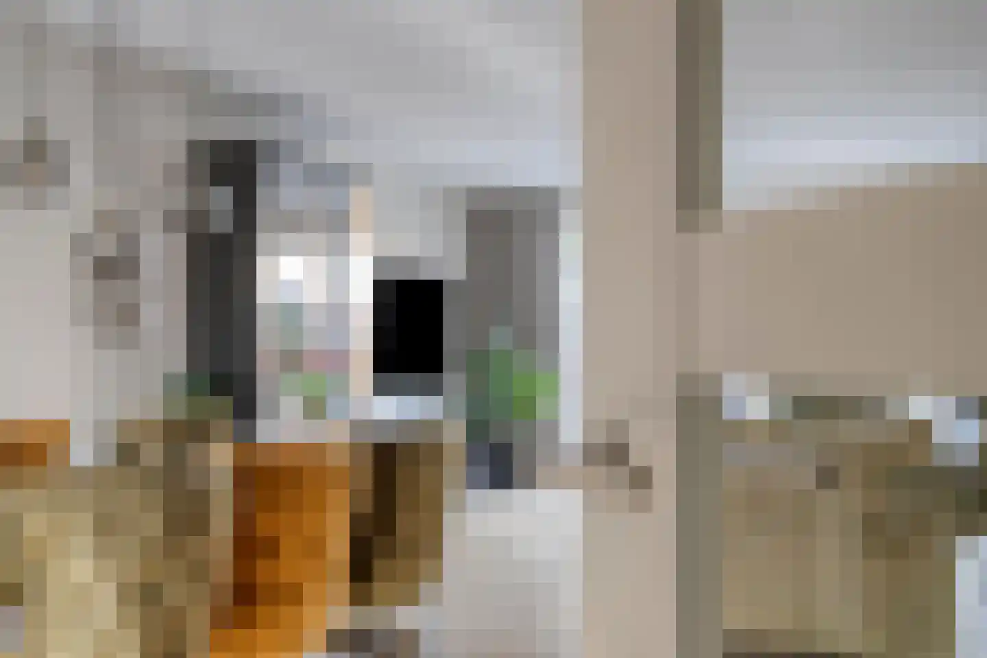 Willem Dreesstraat 78 Alphen aan den Rijn thumbnail 5