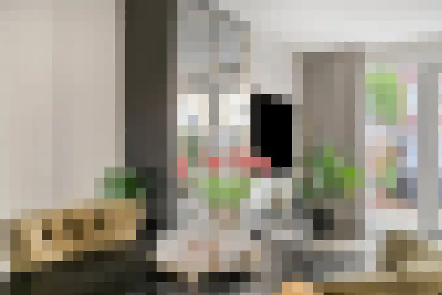 Willem Dreesstraat 78 Alphen aan den Rijn thumbnail 6