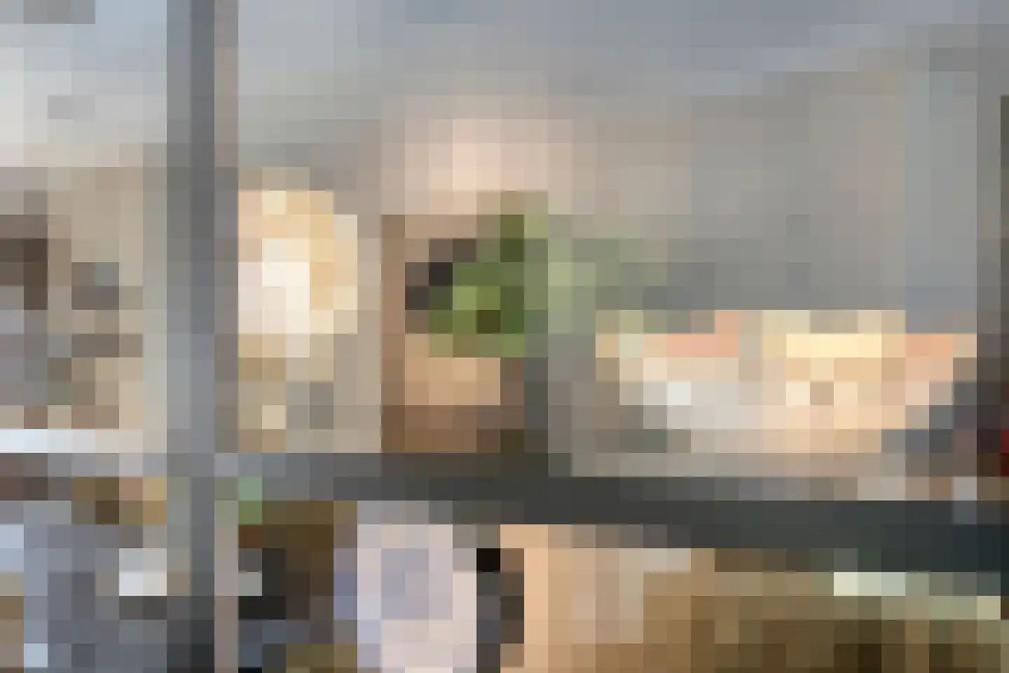 Willem Dreesstraat 78 Alphen aan den Rijn thumbnail 9
