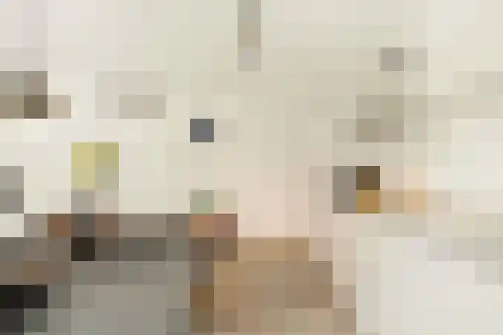 Willem Dudokhof 109 Diemen thumbnail 10