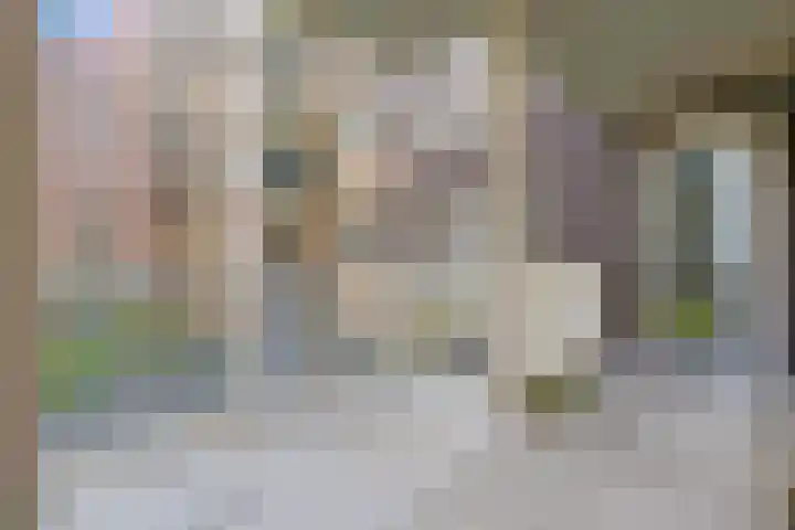 Willem Dudokhof 109 Diemen thumbnail 23