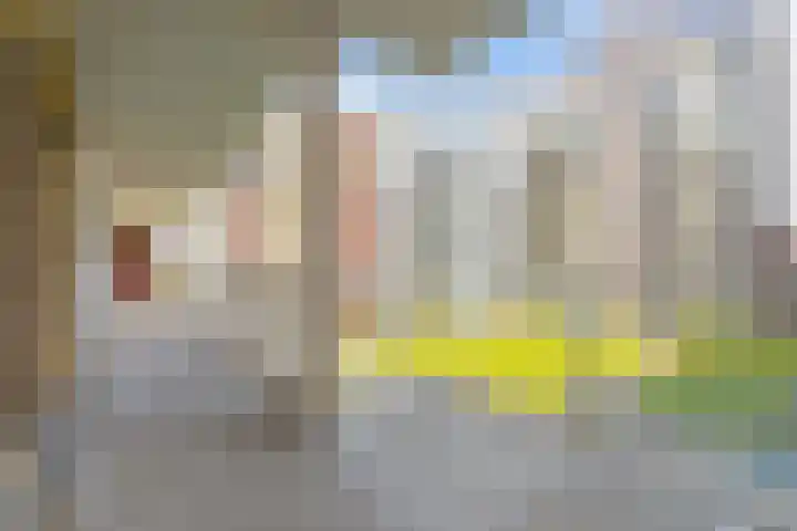 Willem Dudokhof 109 Diemen thumbnail 25