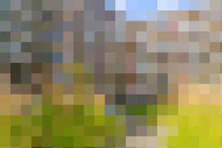 Willem Dudokhof 109 Diemen thumbnail 27
