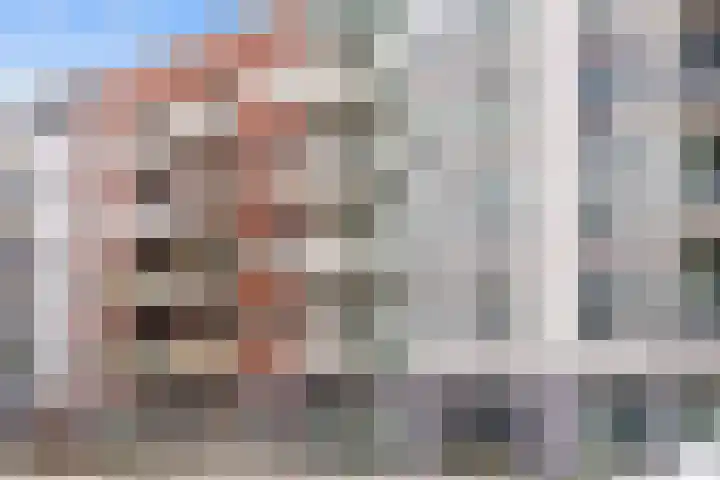 Willem Dudokhof 109 Diemen thumbnail 32
