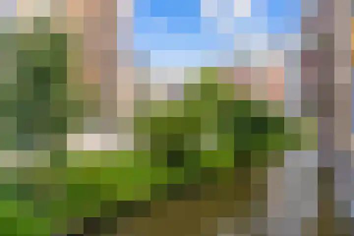 Willem Dudokhof 109 Diemen thumbnail 34