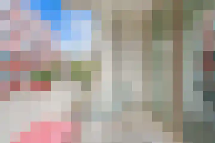 Willem Dudokhof 109 Diemen thumbnail 5