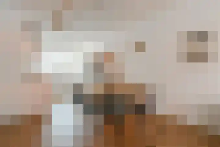 Willem Dudokhof 125 Diemen thumbnail 13