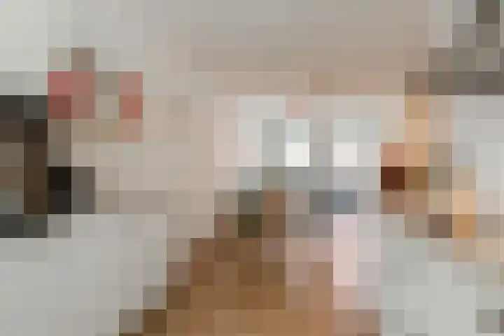 Willem Dudokhof 125 Diemen thumbnail 19