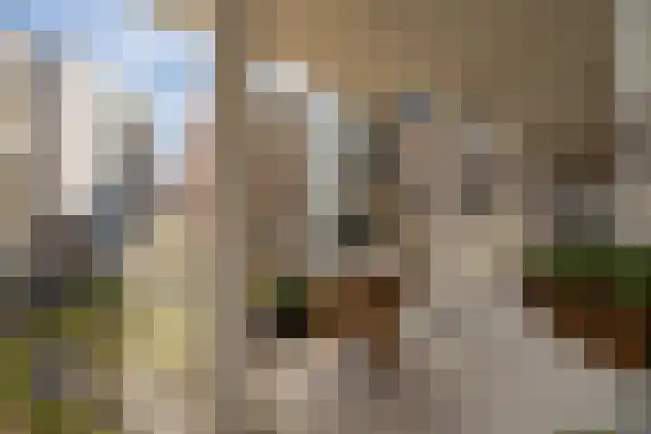 Willem Dudokhof 125 Diemen thumbnail 35