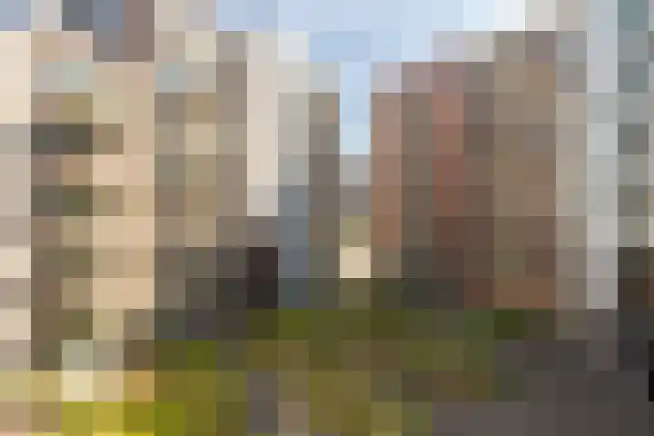 Willem Dudokhof 125 Diemen thumbnail 37