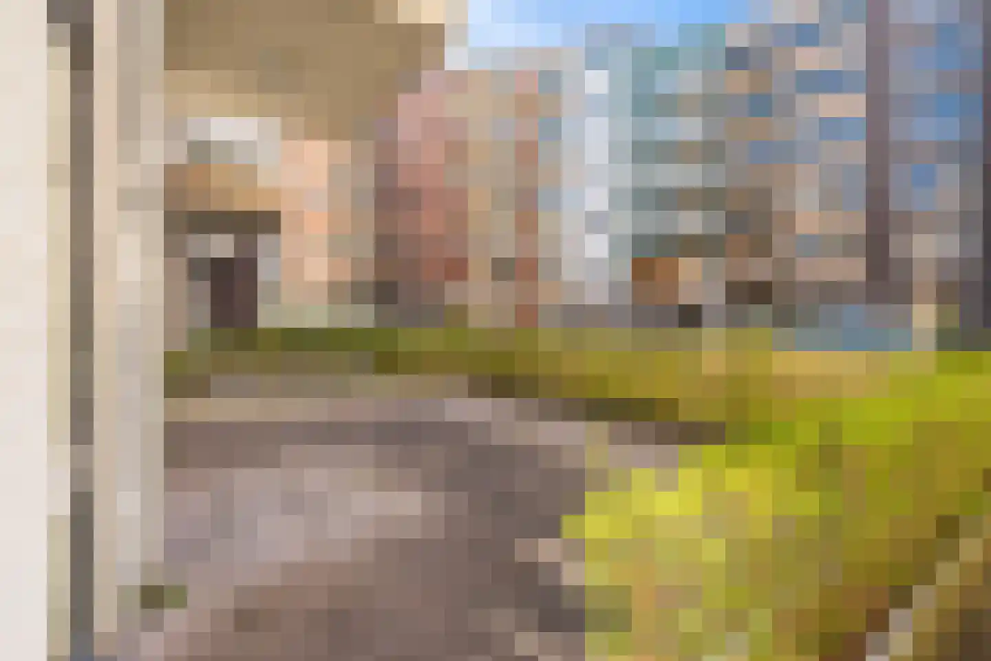 Willem Dudokhof 173 Diemen thumbnail 28