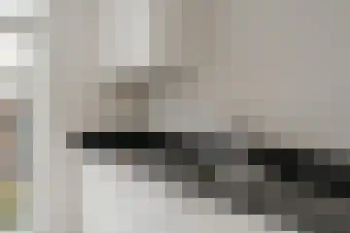 Willem Dudokhof 205 Diemen thumbnail 18