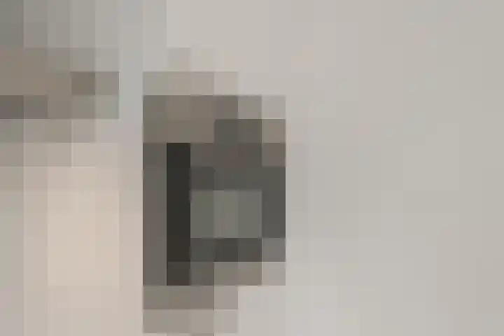 Willem Dudokhof 205 Diemen thumbnail 20