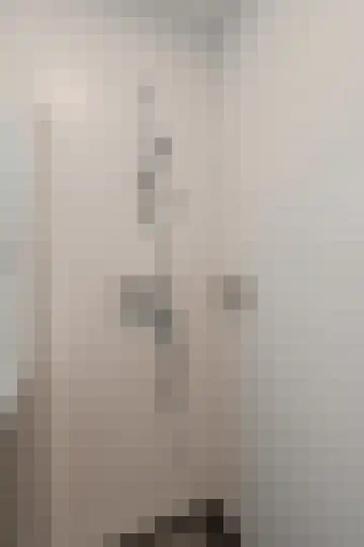 Willem Dudokhof 205 Diemen thumbnail 31