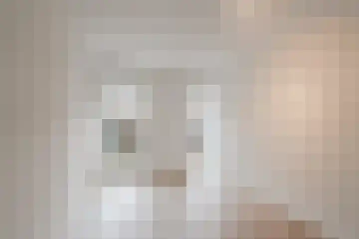 Willem Dudokhof 205 Diemen thumbnail 5