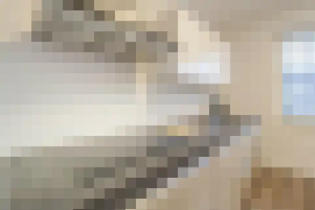Willem Dudokhof 209 Diemen thumbnail 5