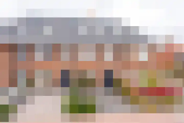 Willem Duysplaats 20 Berkel en Rodenrijs