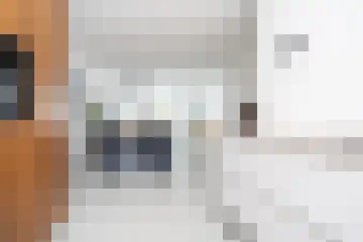 Willem Duysplaats 20 Berkel en Rodenrijs thumbnail 14