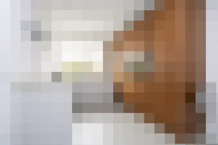 Willem Duysplaats 20 Berkel en Rodenrijs thumbnail 15