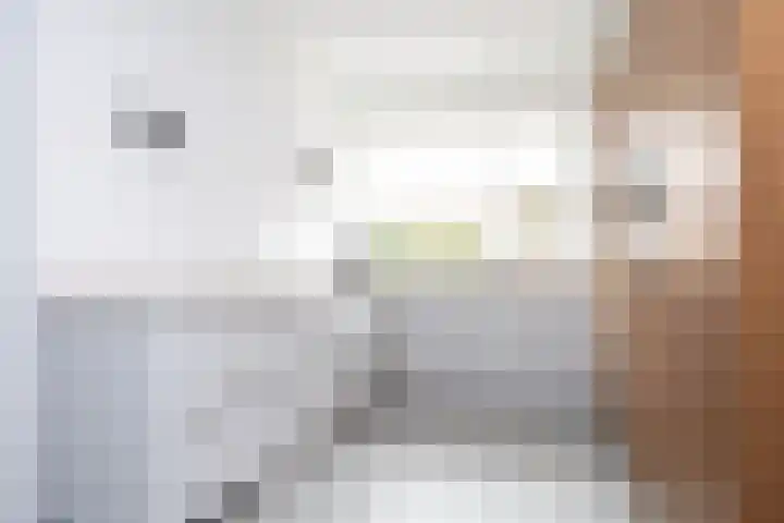 Willem Duysplaats 20 Berkel en Rodenrijs thumbnail 16