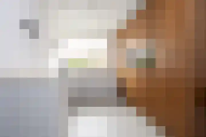 Willem Duysplaats 20 Berkel en Rodenrijs thumbnail 17