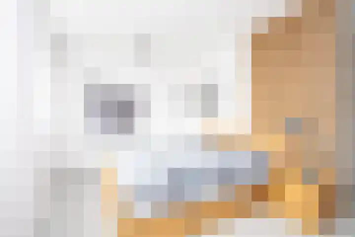 Willem Duysplaats 20 Berkel en Rodenrijs thumbnail 20