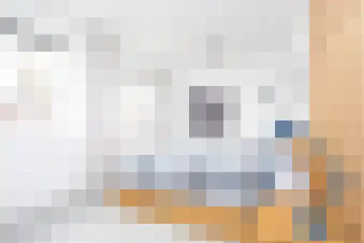 Willem Duysplaats 20 Berkel en Rodenrijs thumbnail 21