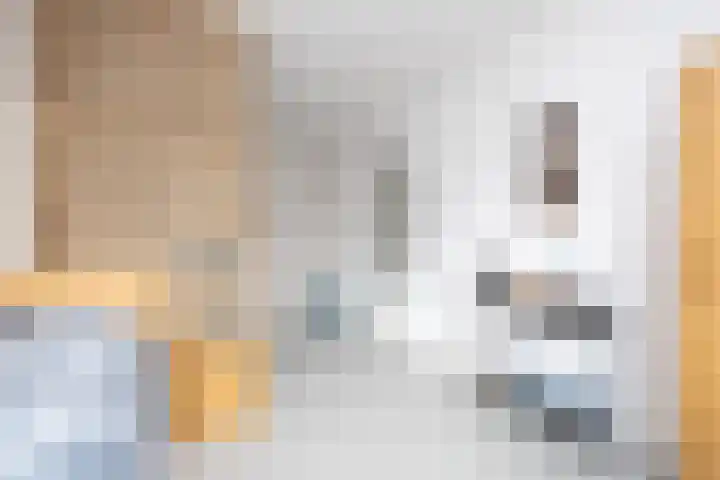 Willem Duysplaats 20 Berkel en Rodenrijs thumbnail 22