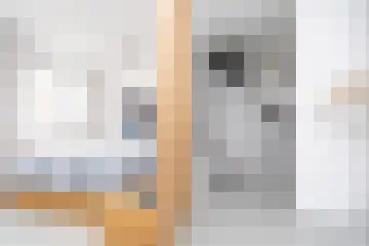 Willem Duysplaats 20 Berkel en Rodenrijs thumbnail 23