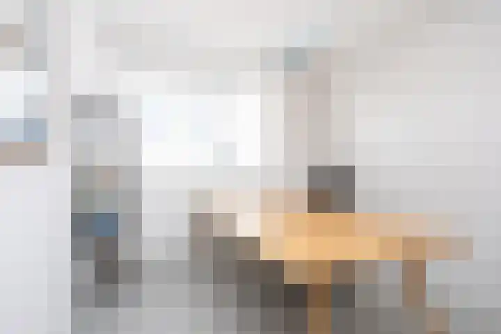 Willem Duysplaats 20 Berkel en Rodenrijs thumbnail 25