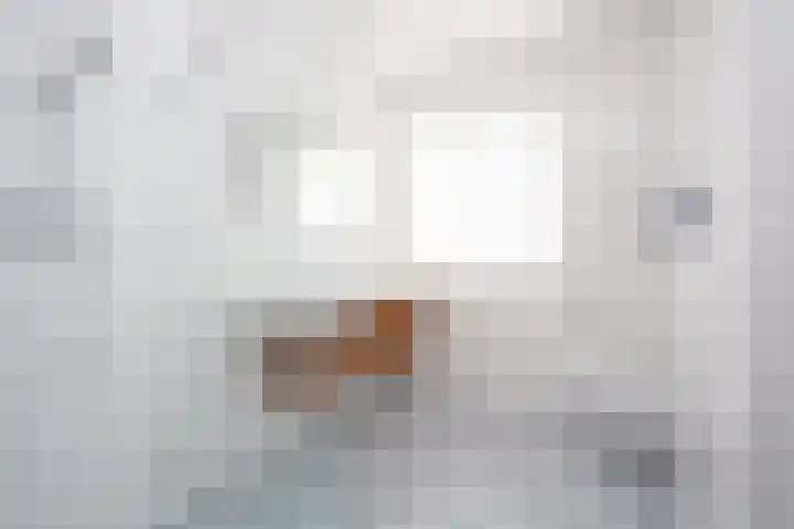 Willem Duysplaats 20 Berkel en Rodenrijs thumbnail 27