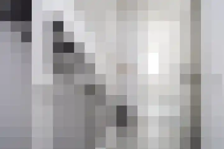 Willem Duysplaats 20 Berkel en Rodenrijs thumbnail 30