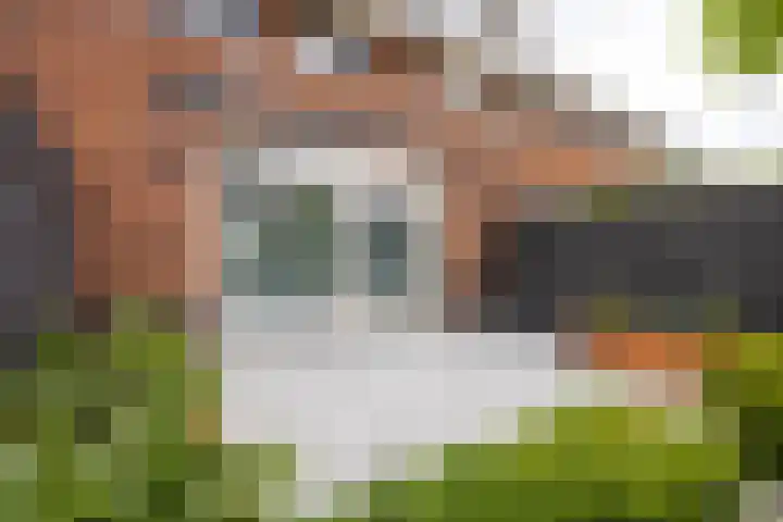Willem Duysplaats 20 Berkel en Rodenrijs thumbnail 34