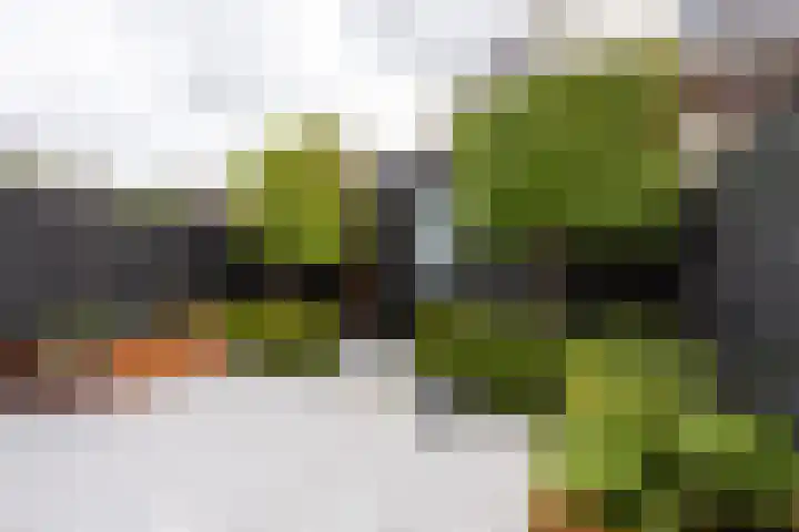 Willem Duysplaats 20 Berkel en Rodenrijs thumbnail 35