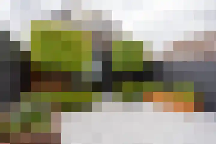 Willem Duysplaats 20 Berkel en Rodenrijs thumbnail 36