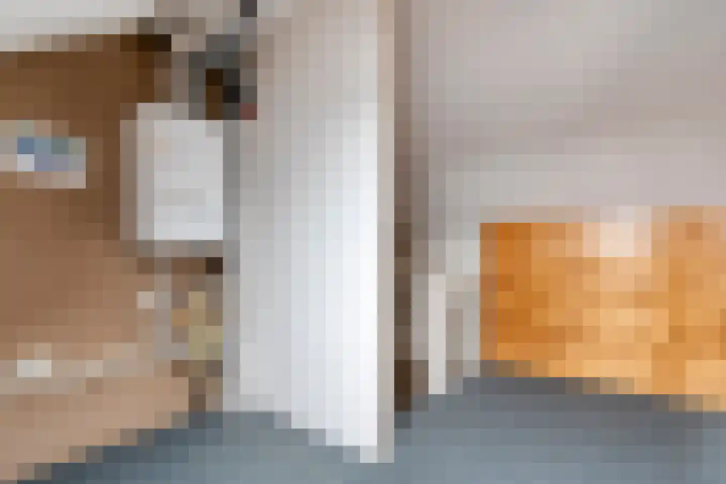 Willem Egbertsstraat 74 Hasselt thumbnail 42