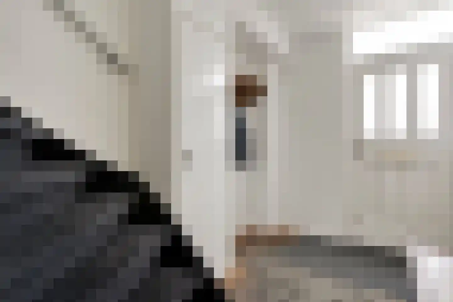 Willem Egbertsstraat 74 Hasselt thumbnail 8