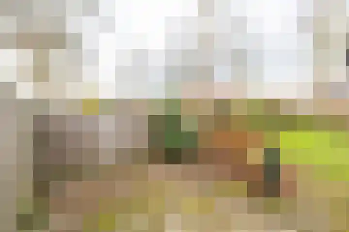 Willem Einthovenlaan 13 Berkel-Enschot thumbnail 36