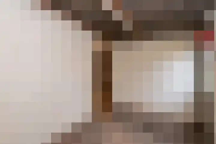 Willem Einthovenlaan 13 Berkel-Enschot thumbnail 37