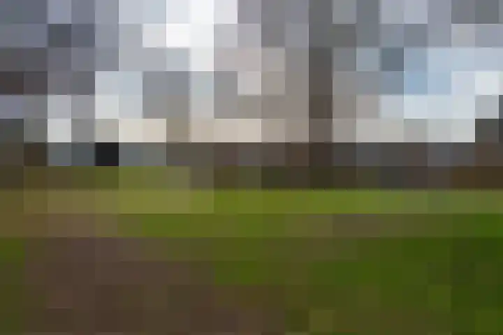 Willem Einthovenlaan 13 Berkel-Enschot thumbnail 43