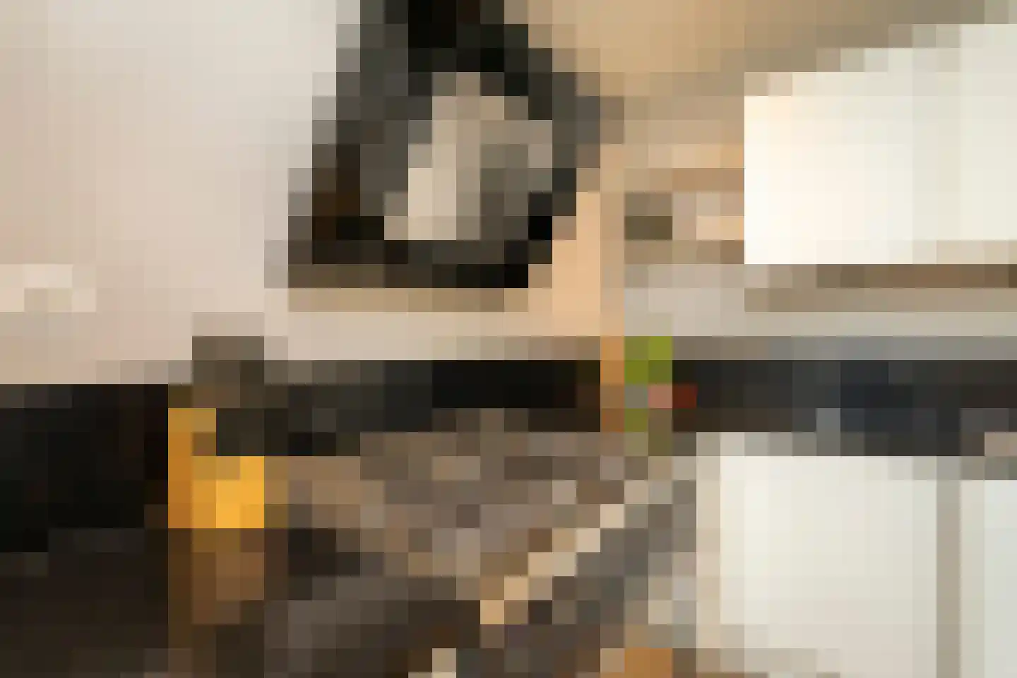 Willem Einthovenlaan 7 Berkel-Enschot thumbnail 14