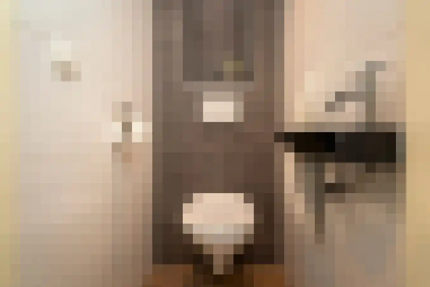 Willem Einthovenlaan 7 Berkel-Enschot thumbnail 7