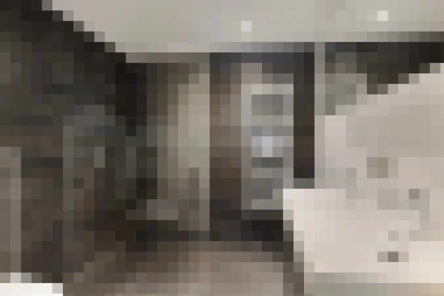 Willem Elsschothove 44 Nieuwegein thumbnail 20