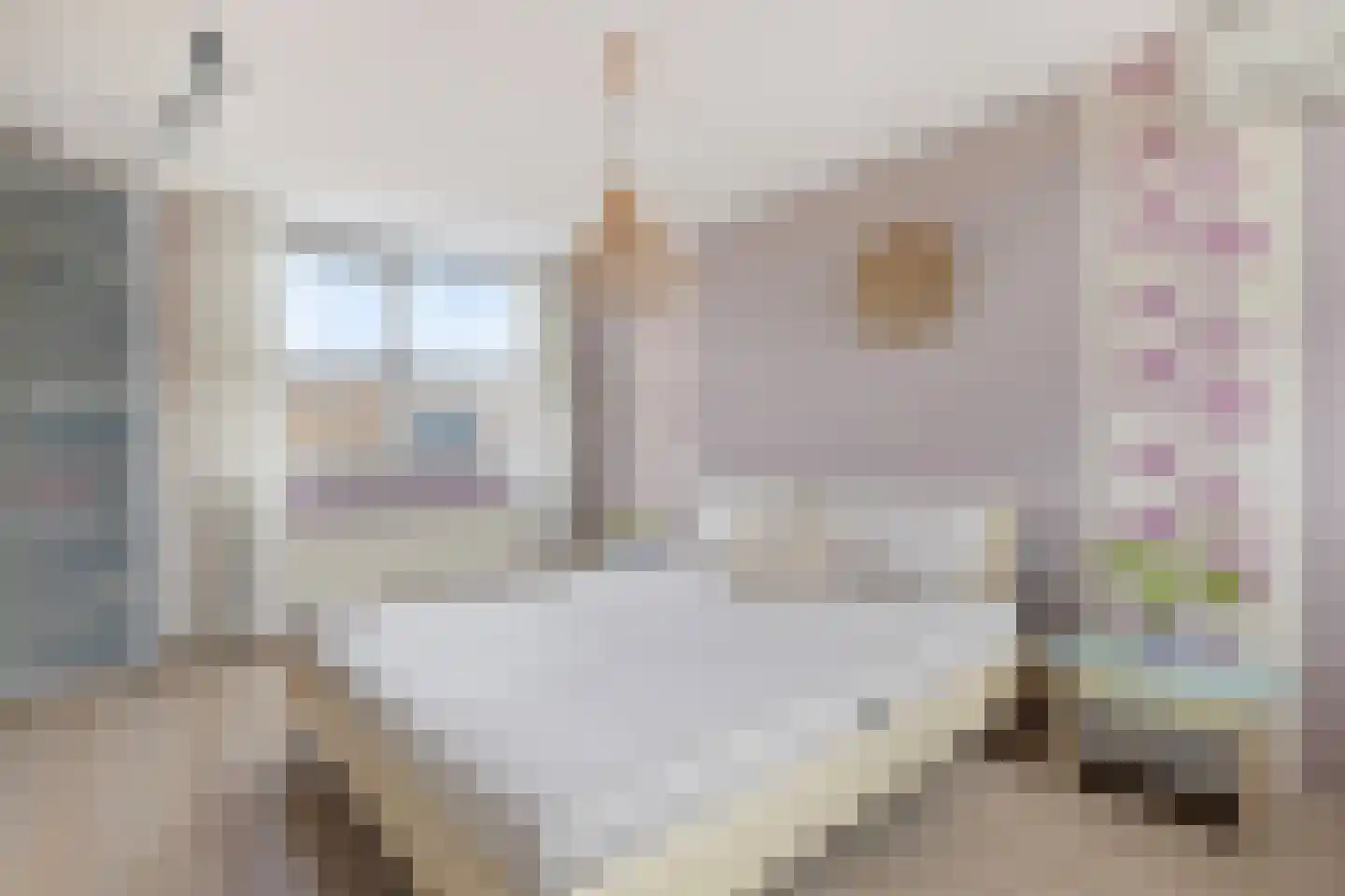 Willem Elsschothove 44 Nieuwegein thumbnail 26