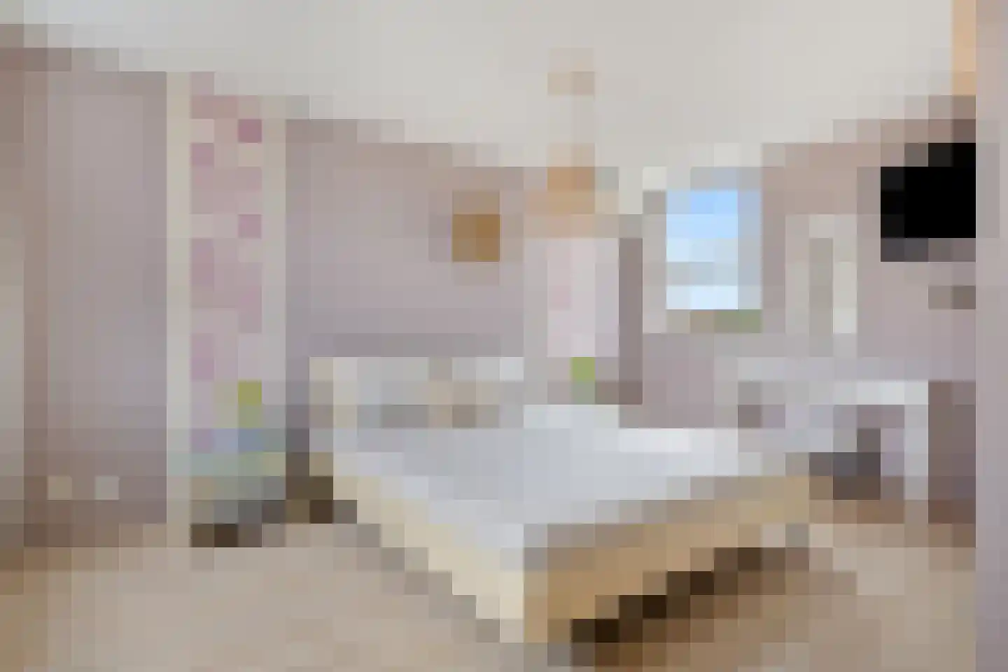 Willem Elsschothove 44 Nieuwegein thumbnail 28